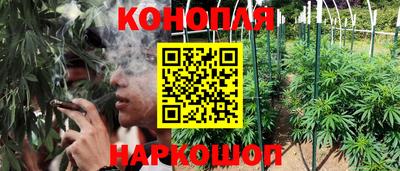 стаф Братск