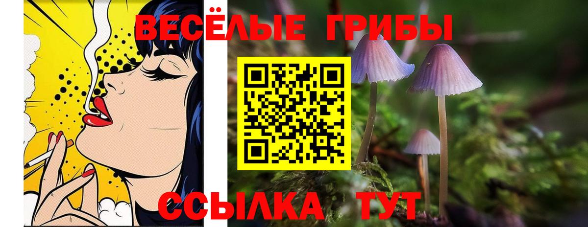 Галлюциногенные грибы Magic Shrooms Грозный